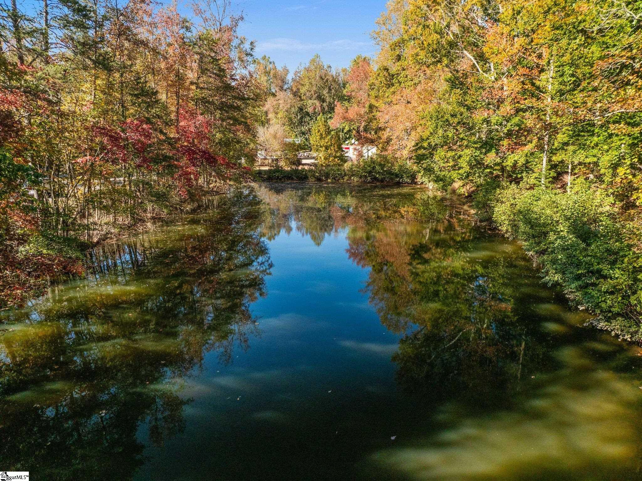 4000 State Park Road Taylors, SC 29687 - Photo 6 of 34
