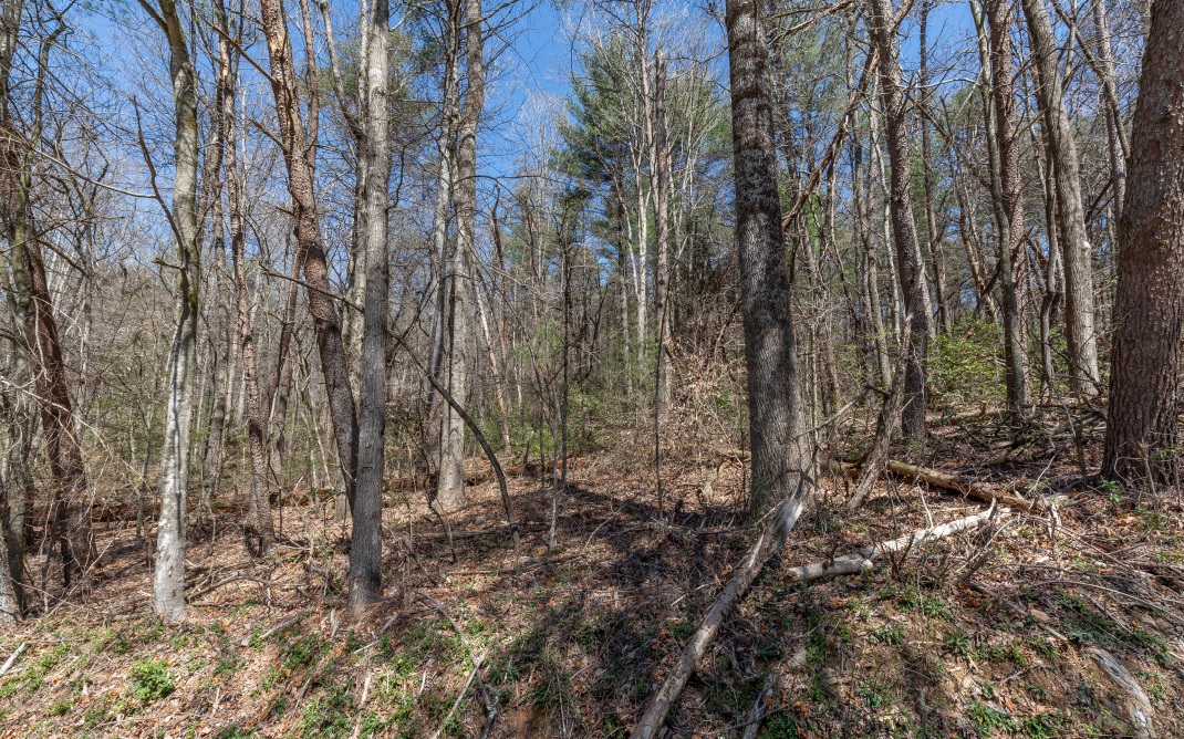 6443 Big Creek Road Ellijay, GA 30536 - Photo 2 of 4 Additional View
