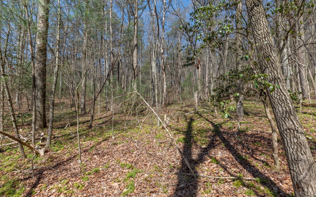 6443 Big Creek Road Ellijay, GA 30536 - Photo 4 of 4 Additional View