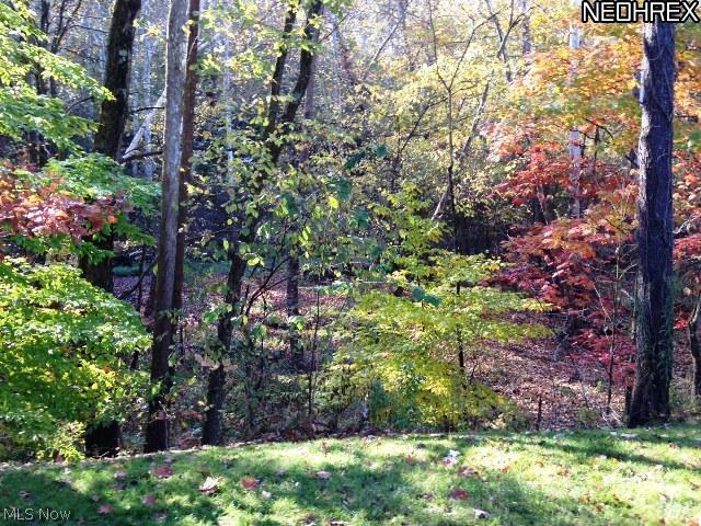 3900 West West Salem Road Burbank, OH 44214 - Photo 18 of 18
