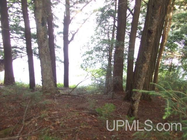 Tbd Island Lake Road, Unit 19 & 20 Hurley, WI 54534 - Photo 3 of 8