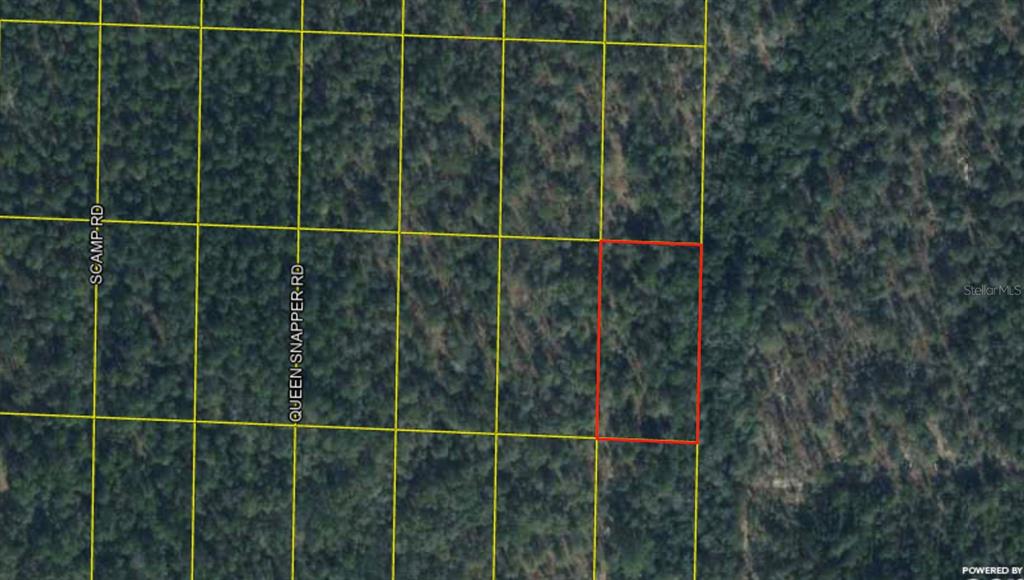 Tbd DeFuniak Springs, FL 32433 - Photo 1 of 1 Gallery Image 1