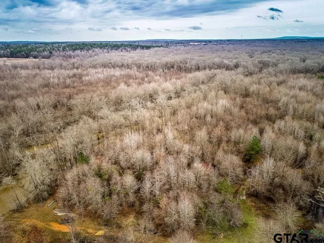 a view of a dry yard