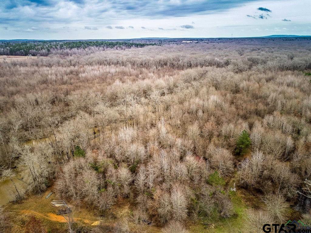 1322 Reklaw Tx 75784 Rusk, TX 75785 - Photo 13 of 22 a view of a dry yard