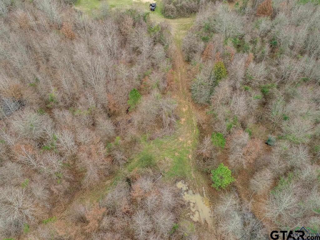 1322 Reklaw Tx 75784 Rusk, TX 75785 - Photo 14 of 22 a view of a dry yard