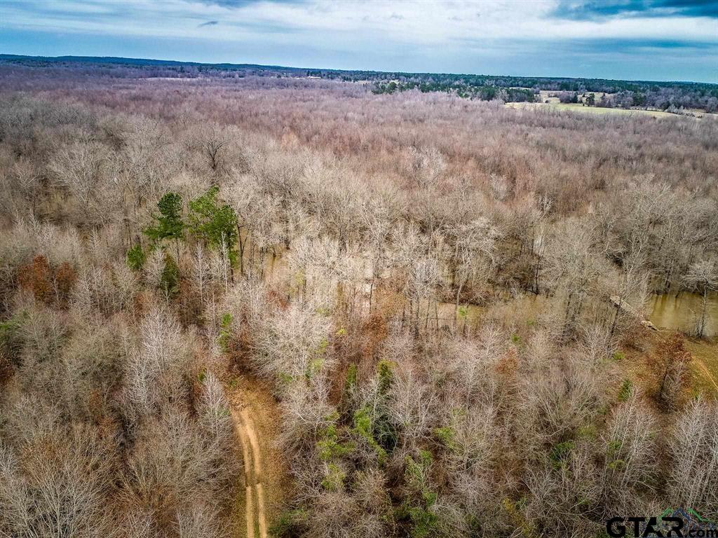 1322 Reklaw Tx 75784 Rusk, TX 75785 - Photo 16 of 22 a view of a dry yard with wooden floor and fence