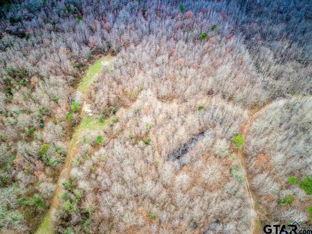 1322 Reklaw Tx 75784 Rusk, TX 75785 - Photo 18 of 22 a backyard of a house with a trees