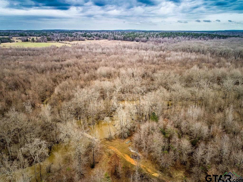 1322 Reklaw Tx 75784 Rusk, TX 75785 - Photo 3 of 22 a view of a dry yard