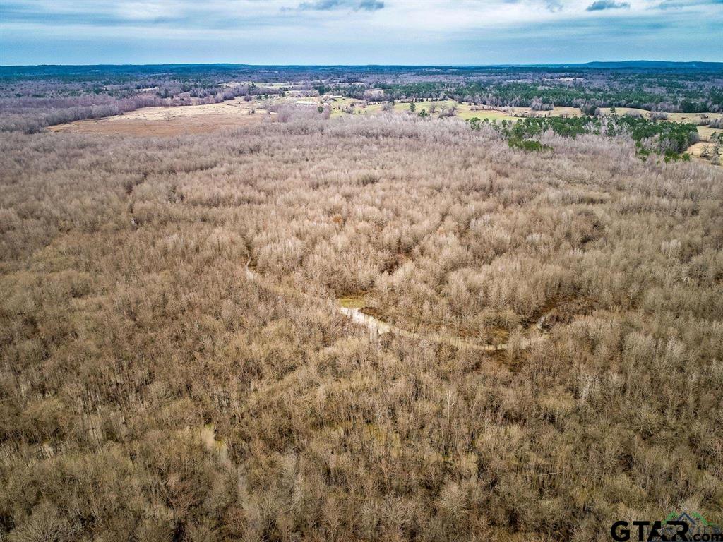 1322 Reklaw Tx 75784 Rusk, TX 75785 - Photo 6 of 22