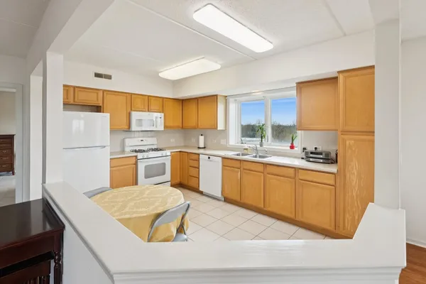 $365,000 | 5155 Madison Street, Unit 509, Skokie, IL 60077