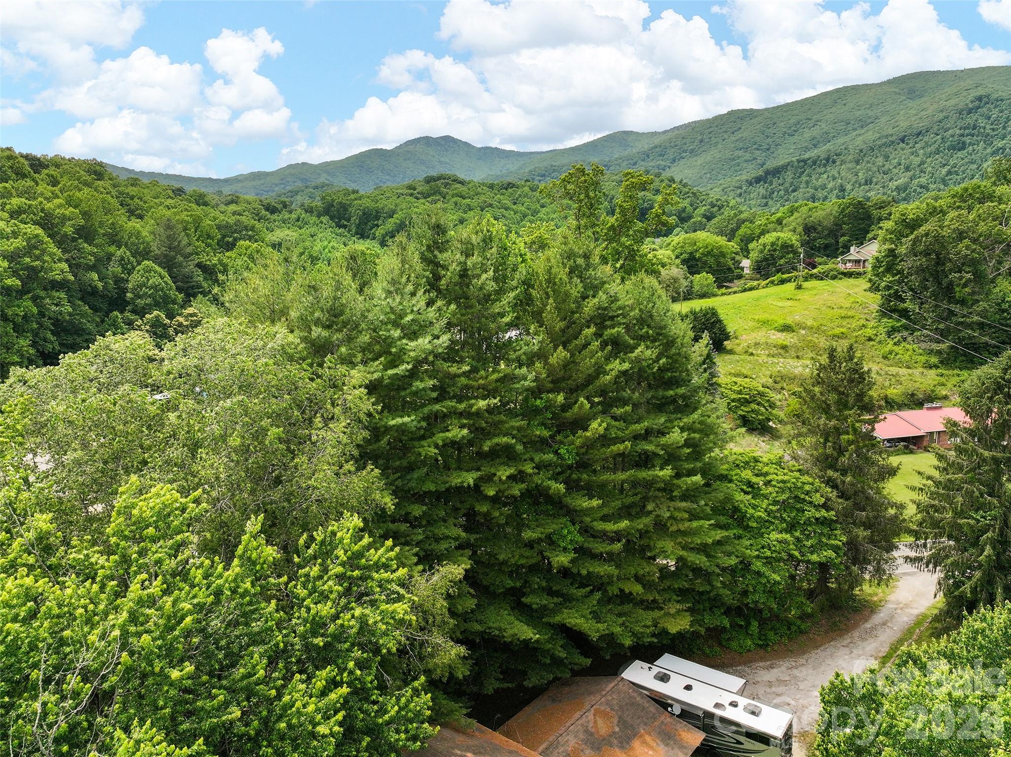 277 Orion Davis Road Waynesville, NC 28786 - Photo 2 of 23