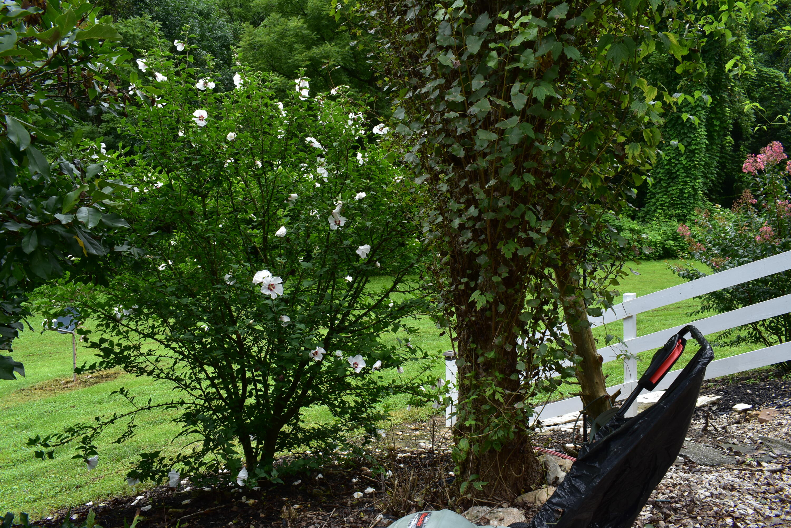 7465 Wagersville Road Irvine, KY 40336 - Photo 8 of 32 DSC_0075