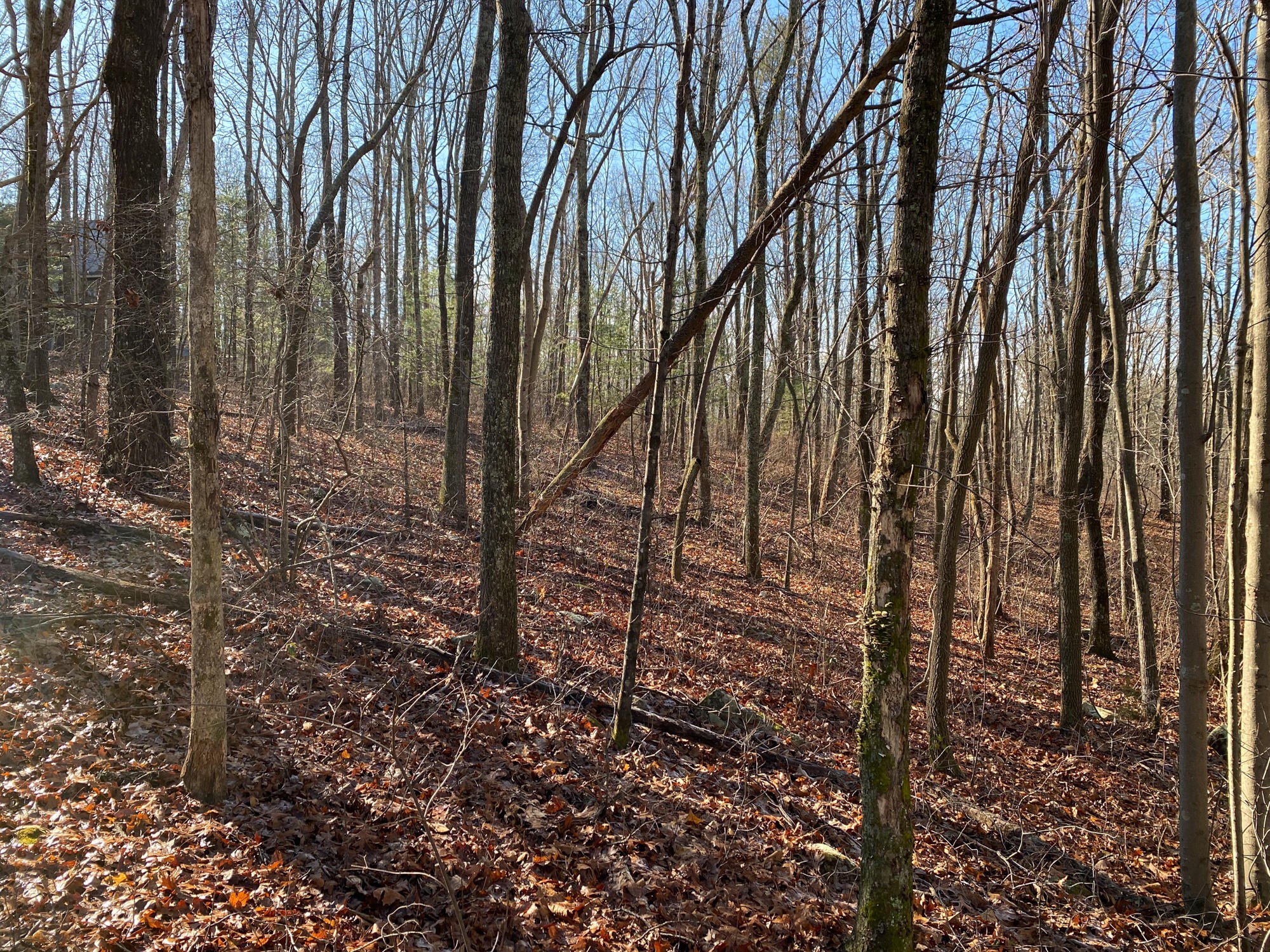 7 Lookout Drive Rising Fawn, GA 30738 - Photo 20 of 25