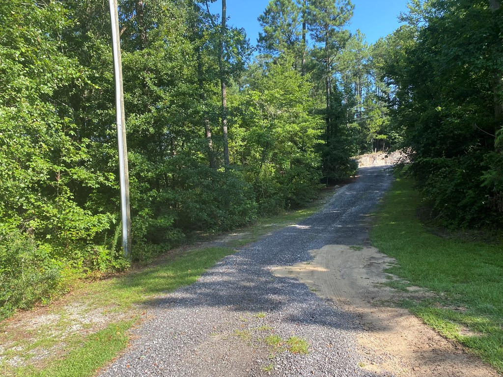 2216 Willis Foreman Road Hephzibah, GA 30815 - Photo 3 of 17 Gallery Image 3