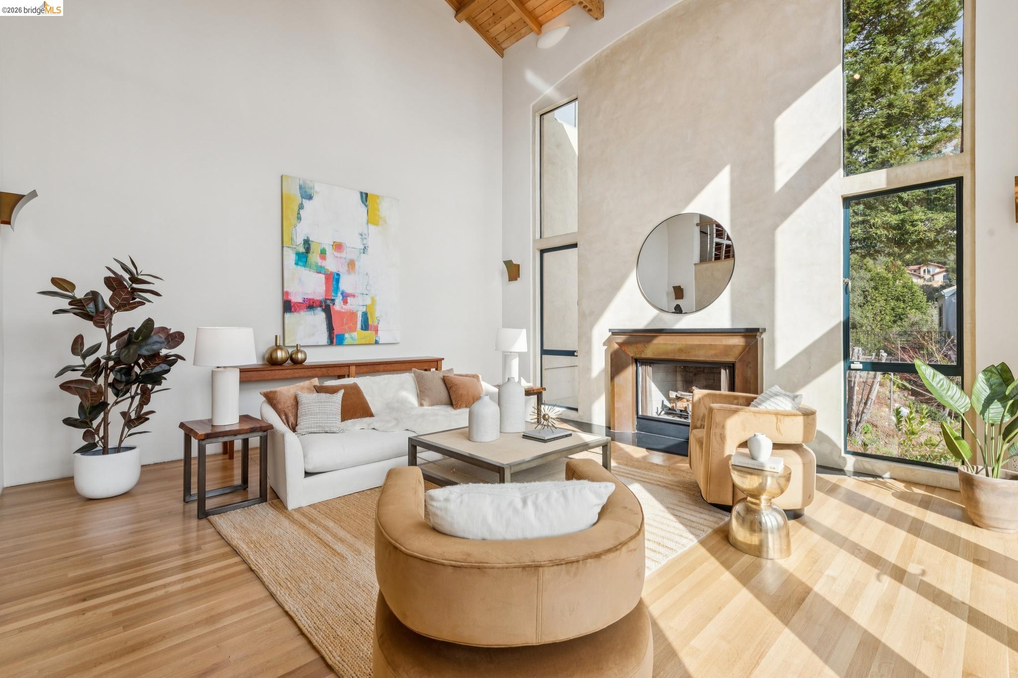 150 Vicente Road Berkeley, CA 94705 - Photo 9 of 54 a living room with furniture a fireplace and a potted plant