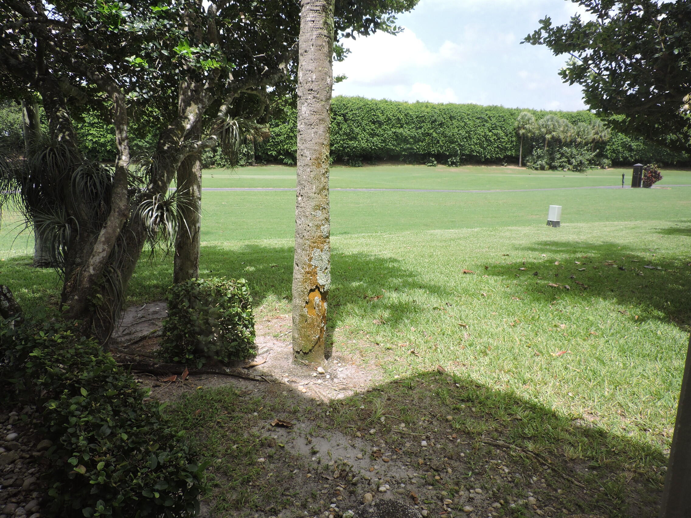 7900 Granada Place, Unit 1103 Boca Raton, FL 33433 - Photo 45 of 56 golf view from living room