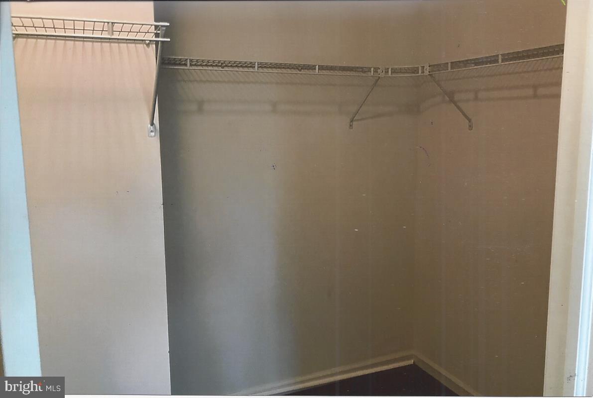 515 Bailiff Road North East, MD 21901 - Photo 22 of 30 Walk In Closest-Master Bedroom