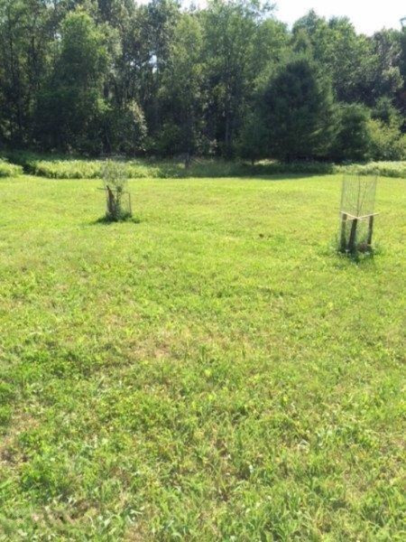 1718 North State Road Luther, MI 49656 - Photo 33 of 56 IMG_2860