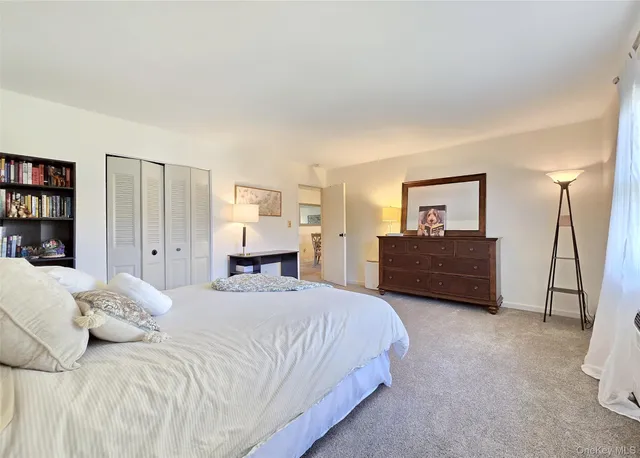 a bedroom with a bed and closet