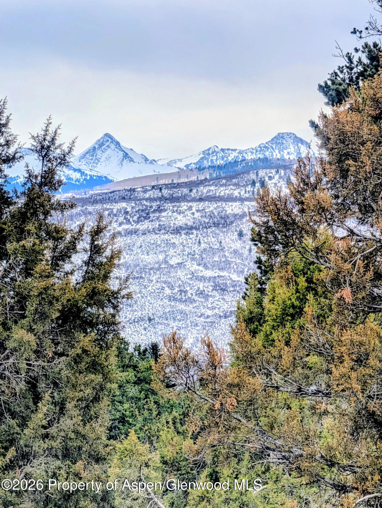 255 Little Pinon Basalt, CO 81621 - Photo 71 of 72 3803737397297506764