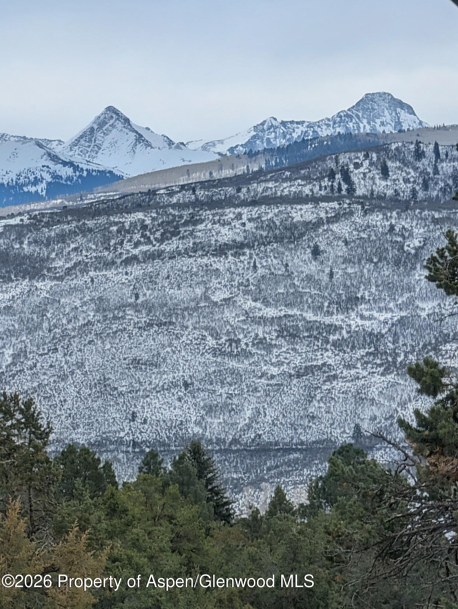 255 Little Pinon Basalt, CO 81621 - Photo 72 of 72 4436880396380404367