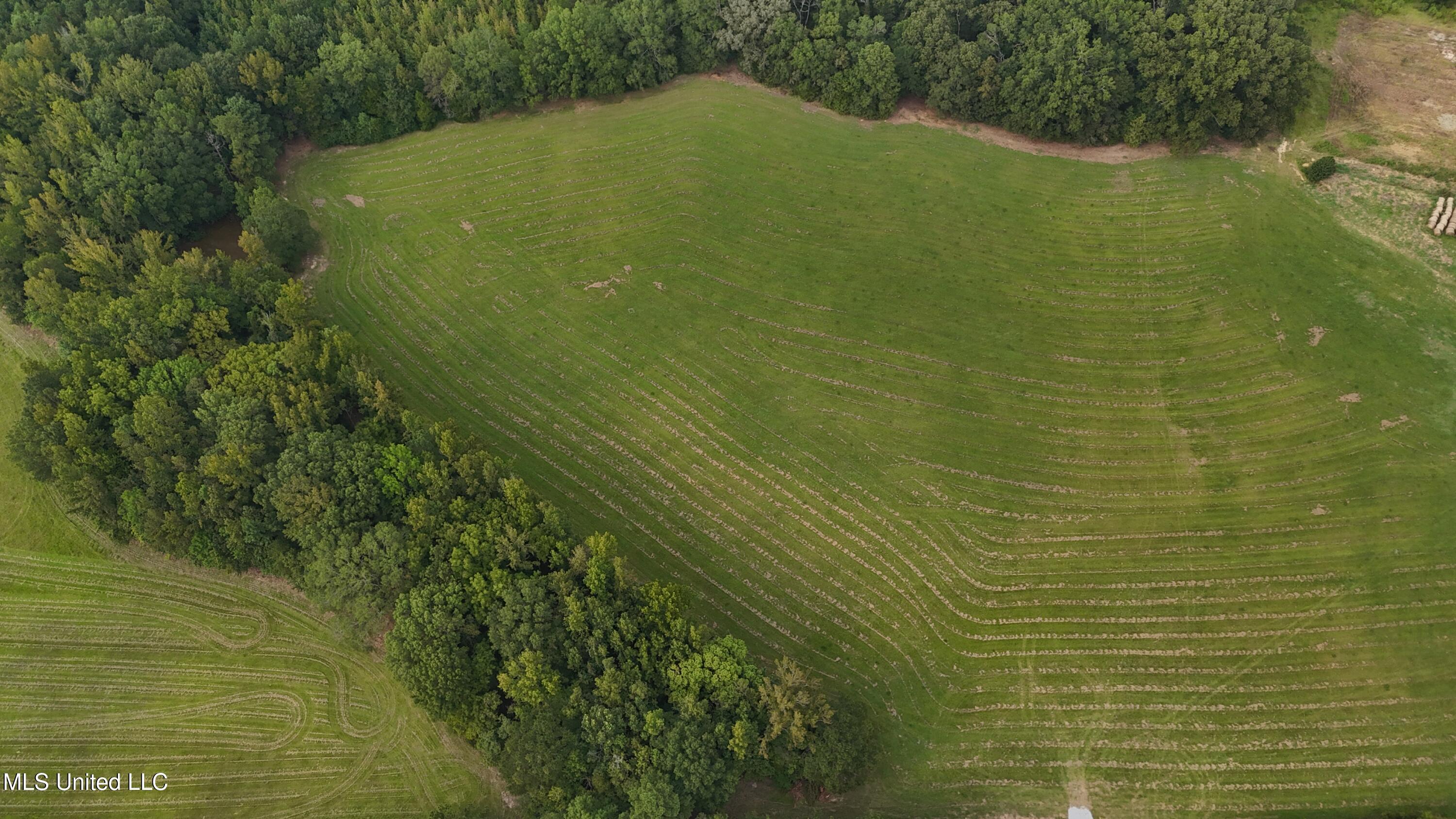 2 Sulphur Springs Road Canton, MS 39046 - Photo 3 of 11 dji_fly_20250905_164942_0326_17573668246