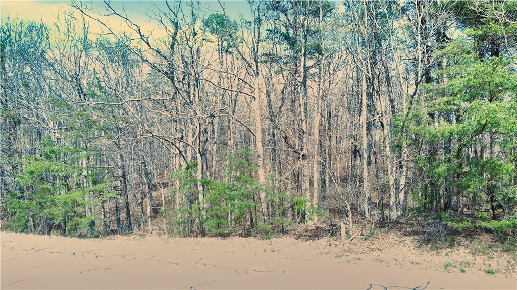 0 157th Highway Rising Fawn, GA 30738 - Photo 15 of 19