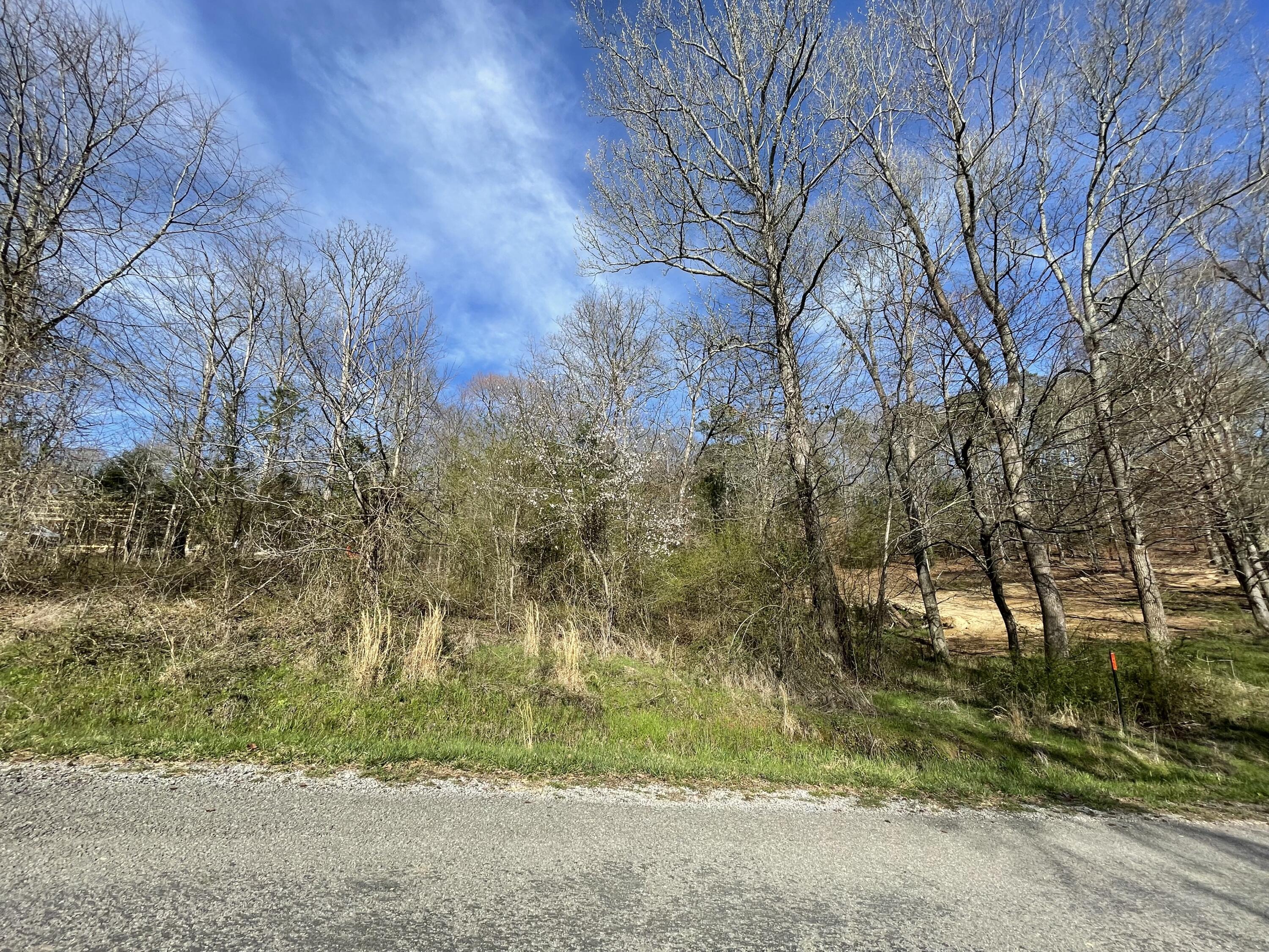 0 Farmington Creek Road Dunlap, TN 37327 - Photo 3 of 3 Farmington Creek 4