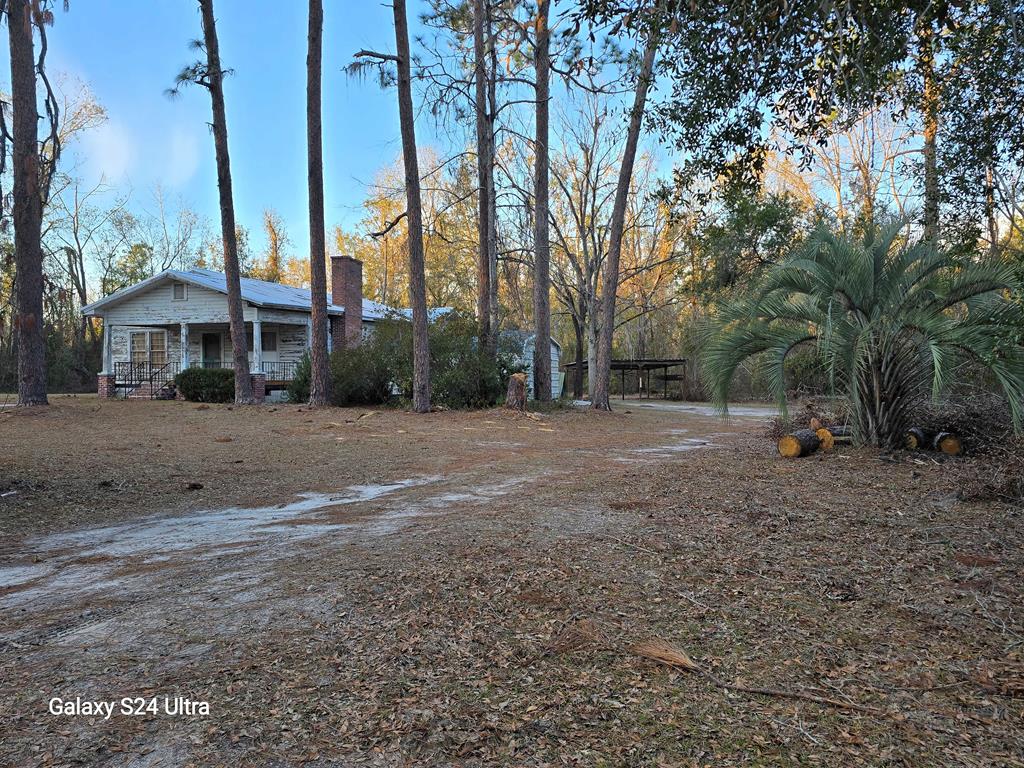 6389 Northeast Hickory Grove Road Pinetta, FL 32350 - Photo 6 of 39 Gallery Image 6