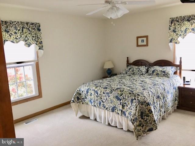2431 Cool Spring Road Bel Air, MD 21015 - Photo 13 of 35 PLENTY OF NAT LIGHT IN OWNER BR. FRESHLY CLD CARP