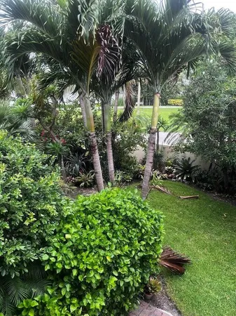 a view of a yard and trees