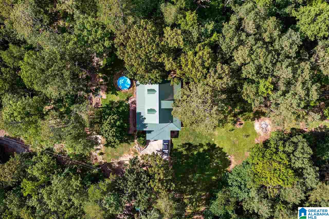 56304 Highway 231 Oneonta, AL 35121 - Photo 44 of 50