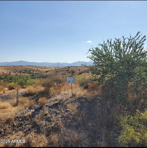 a view of a dry yard with lots of trees