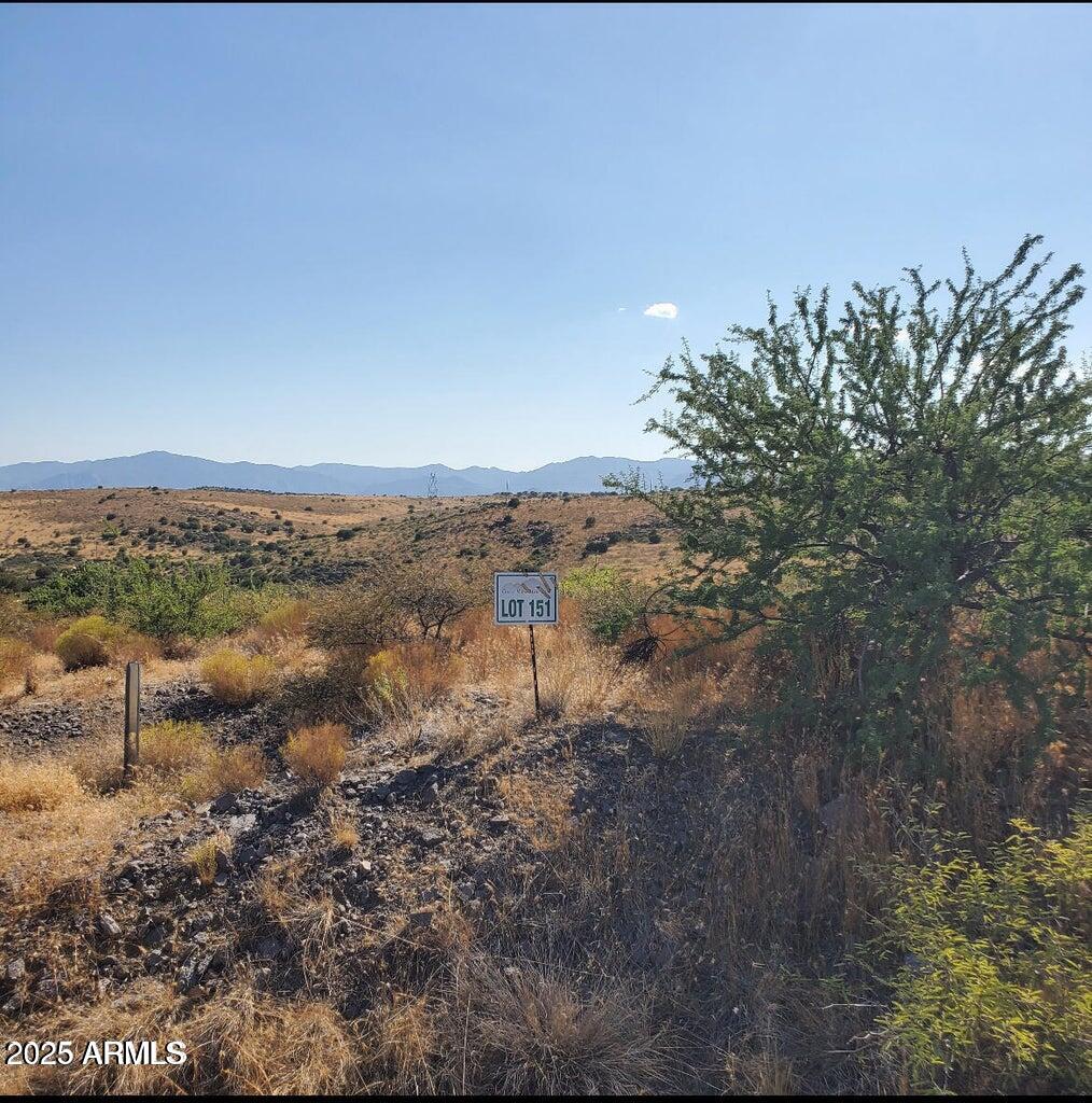 a view of a dry yard with lots of trees