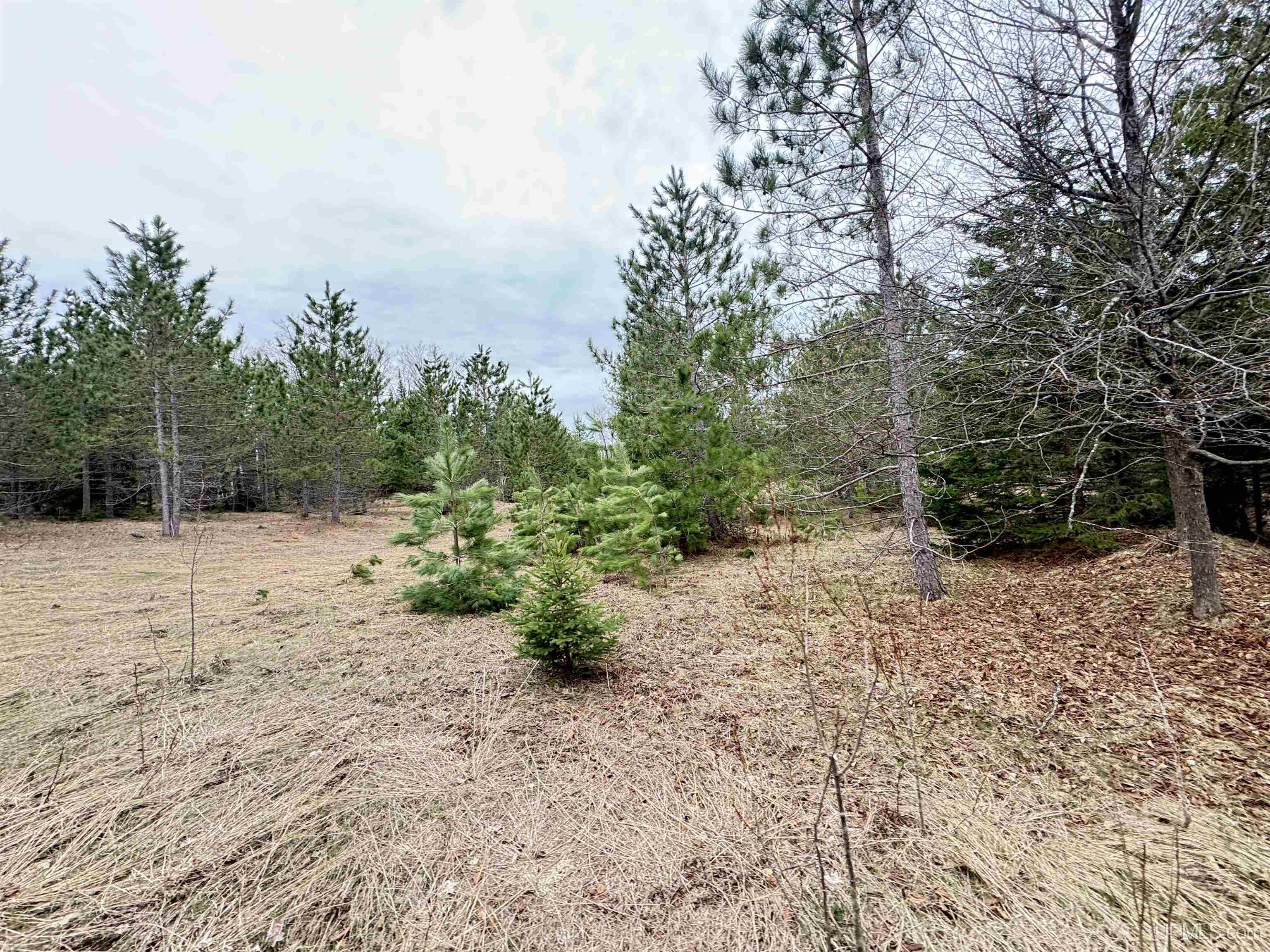W4777 Lahay Road Daggett, MI 49821 - Photo 41 of 67