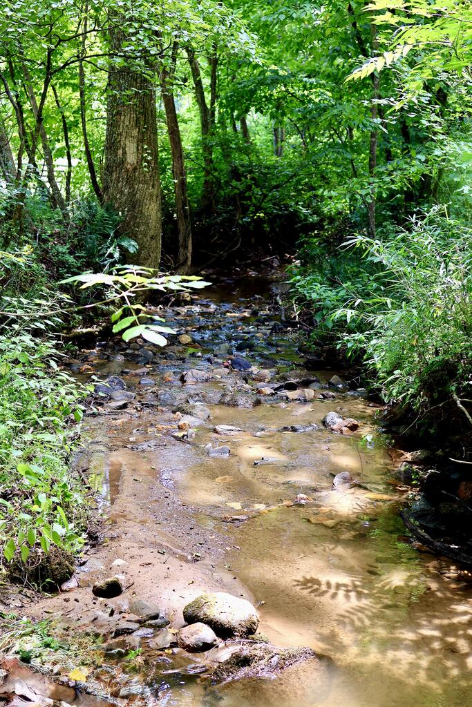 0 Wolf Mountain Road Murphy, NC 28906 - Photo 15 of 17 Gallery Image 15