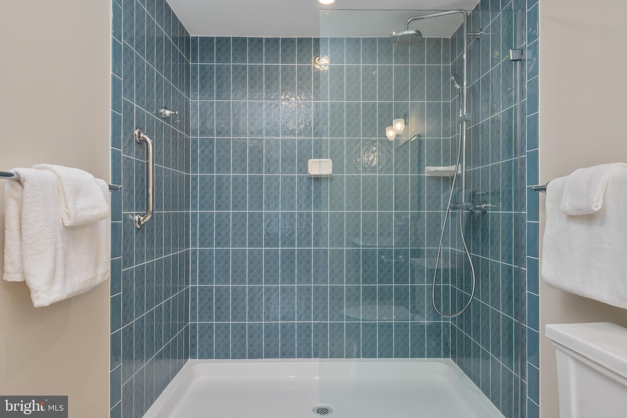 10339 Old Georgetown Road, Unit 516 Bethesda, MD 20814 - Photo 6 of 44 a bathroom with a shower