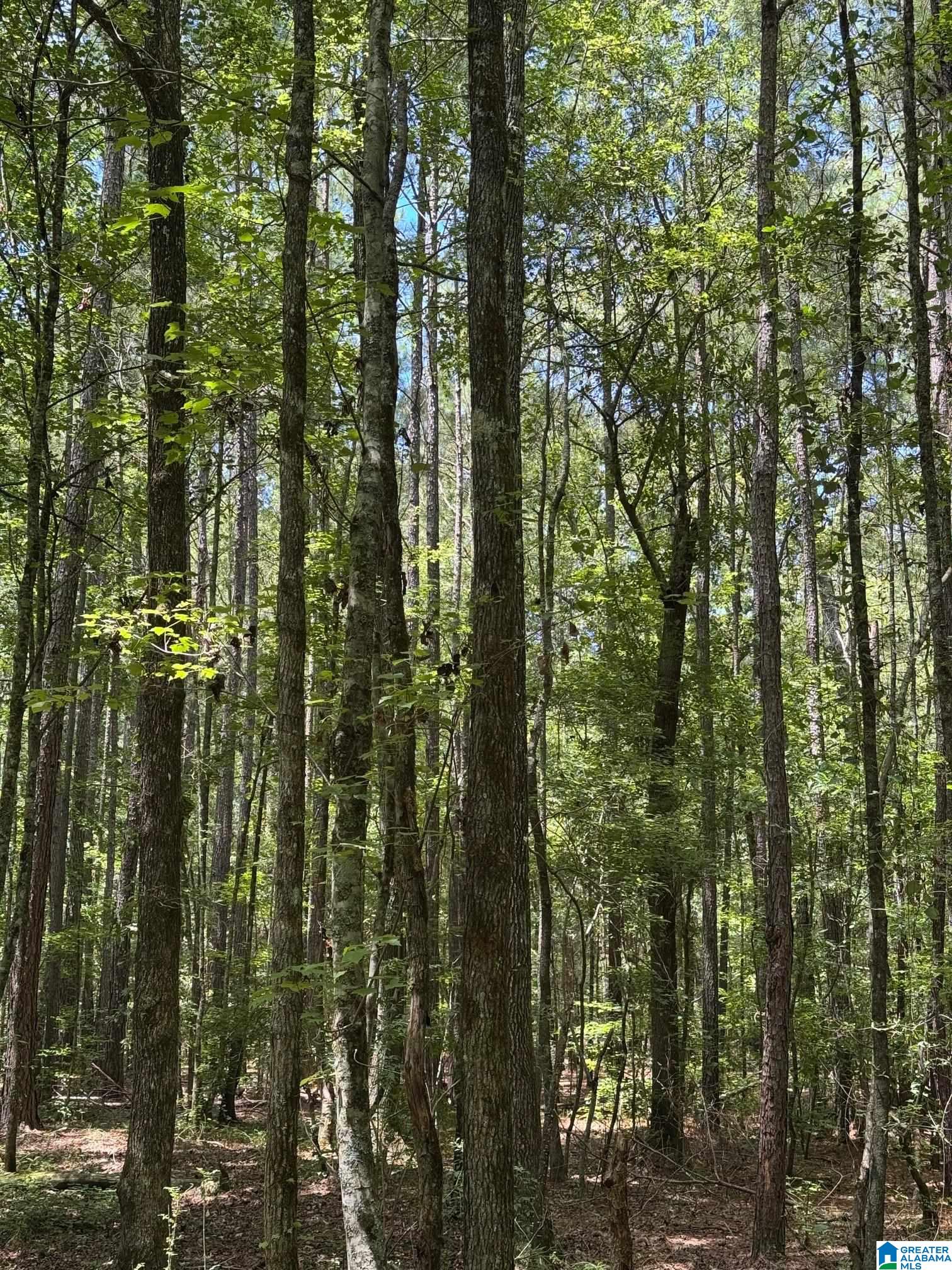 775 Concord Church Road, Unit 301 02 AC Talladega, AL 35160 - Photo 13 of 14