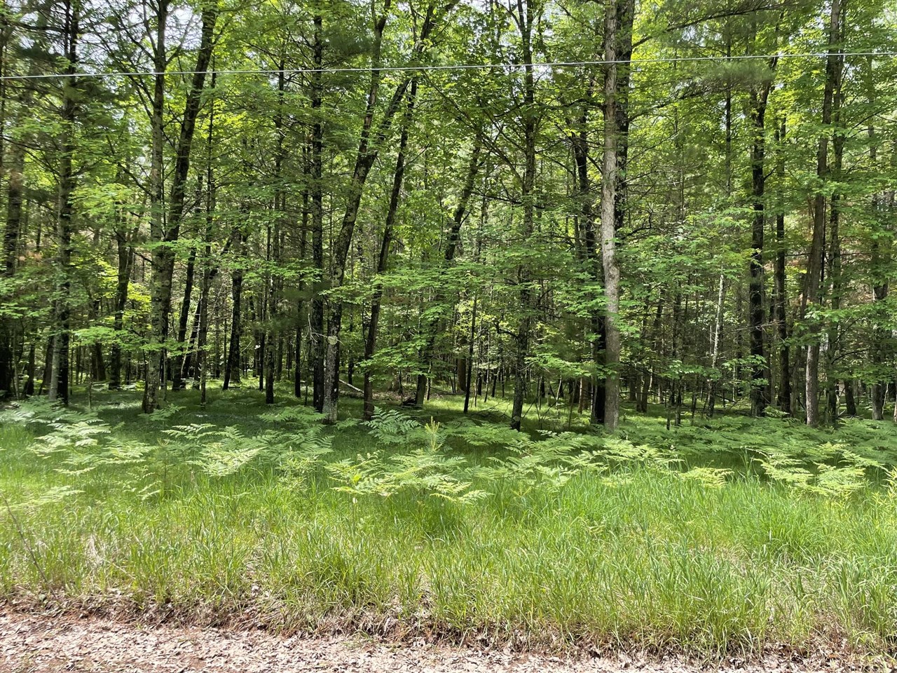 8725 West River Road Irons, MI 49644 - Photo 37 of 37