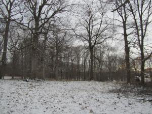 935 Art Gallery Road Bedford, IN 47421 - Photo 14 of 14 Gallery Image 14