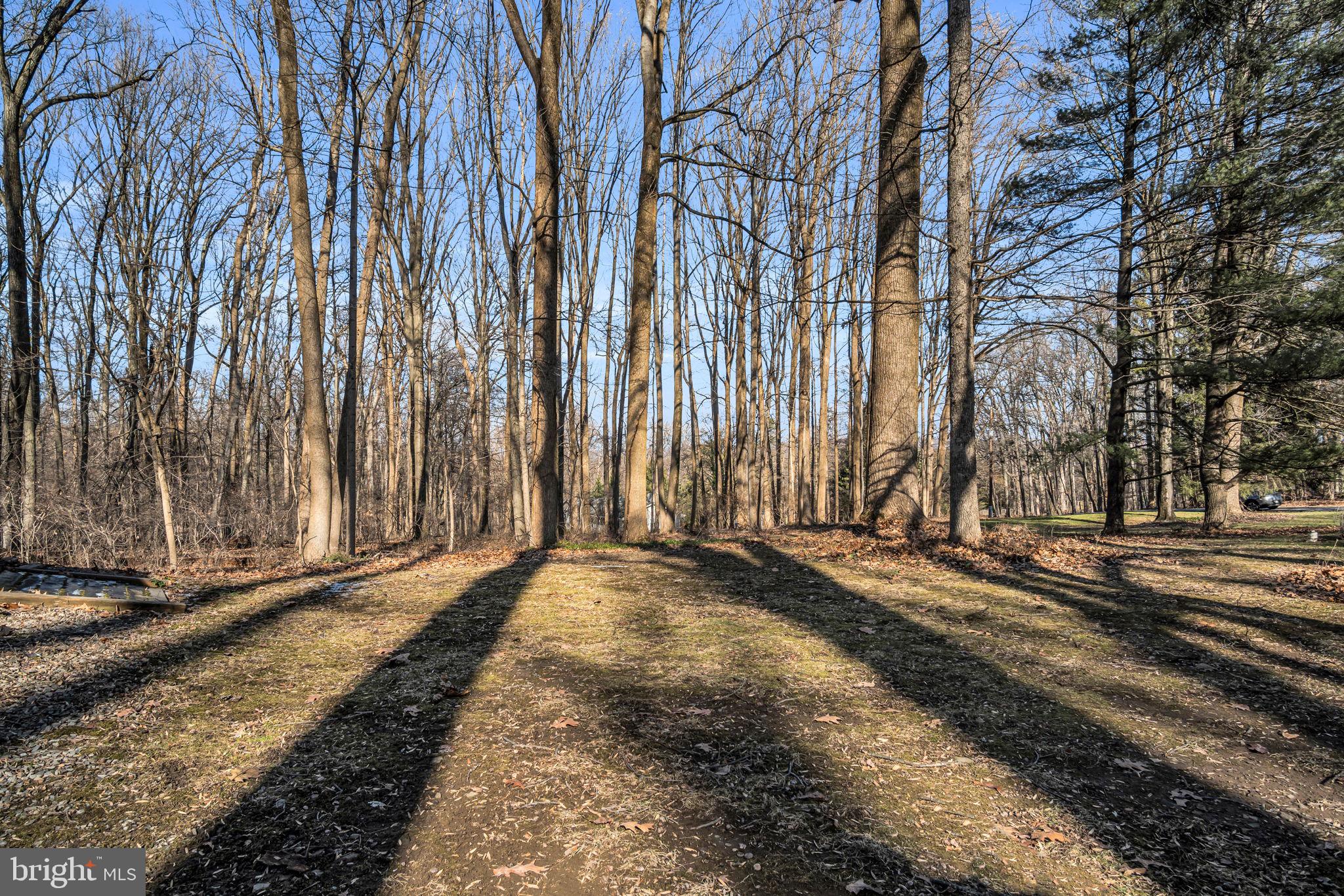 145 Maple Hill Drive Etters, PA 17319 - Photo 41 of 49