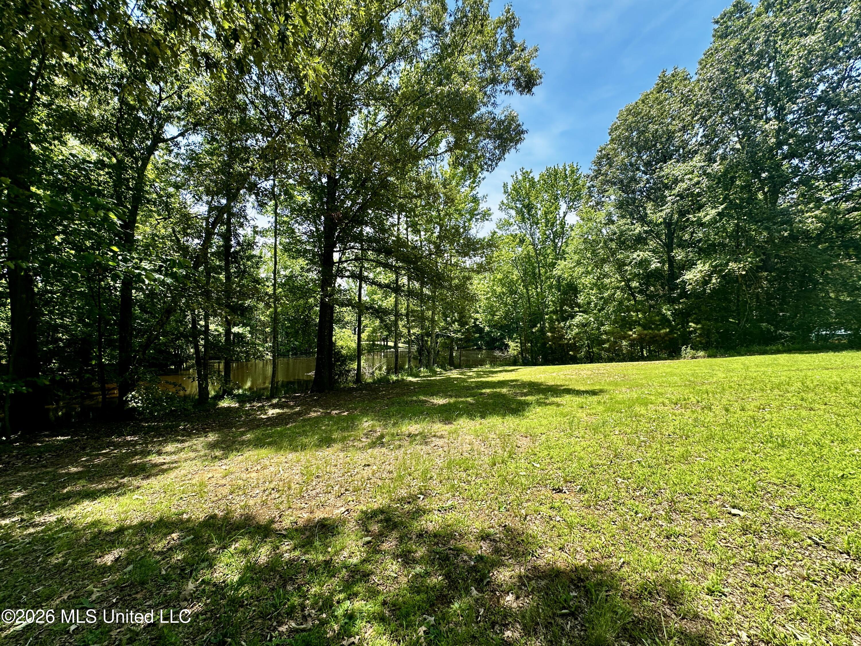 8863 Sheltowee Trail Hernando, MS 38632 - Photo 20 of 22 lake frontage