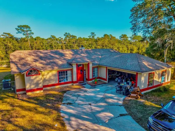 a view of a big room with potted plants and large tree