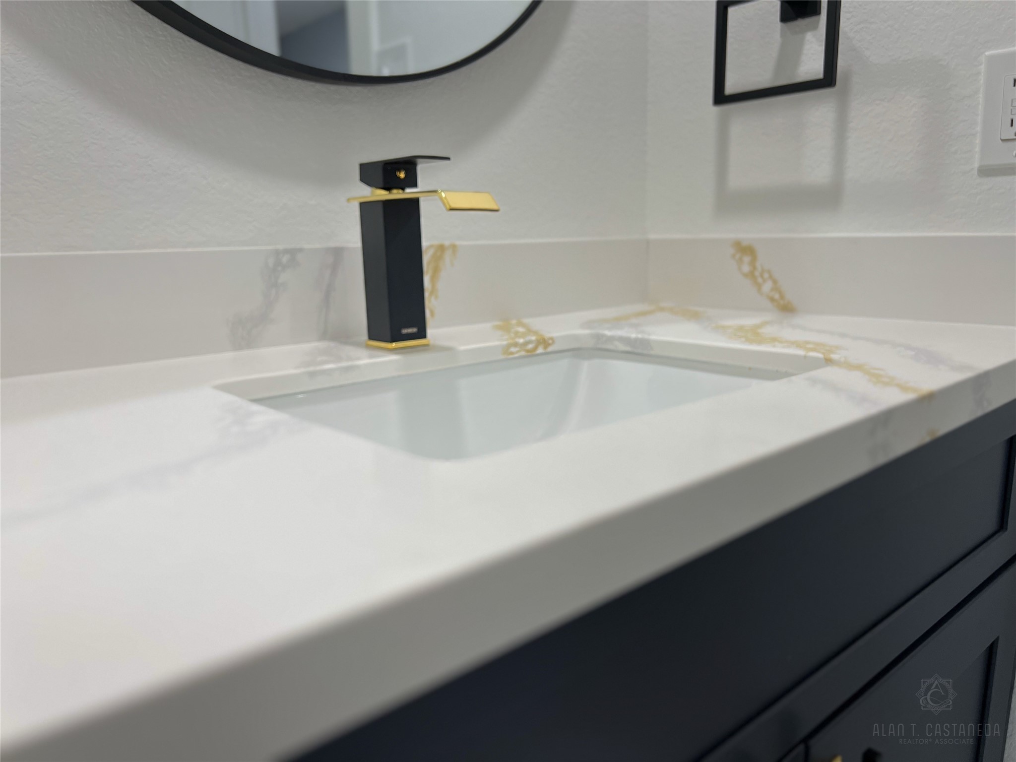 2516 Commonwealth Street, Unit 102 Houston, TX 77006 - Photo 23 of 28 a close view of sink