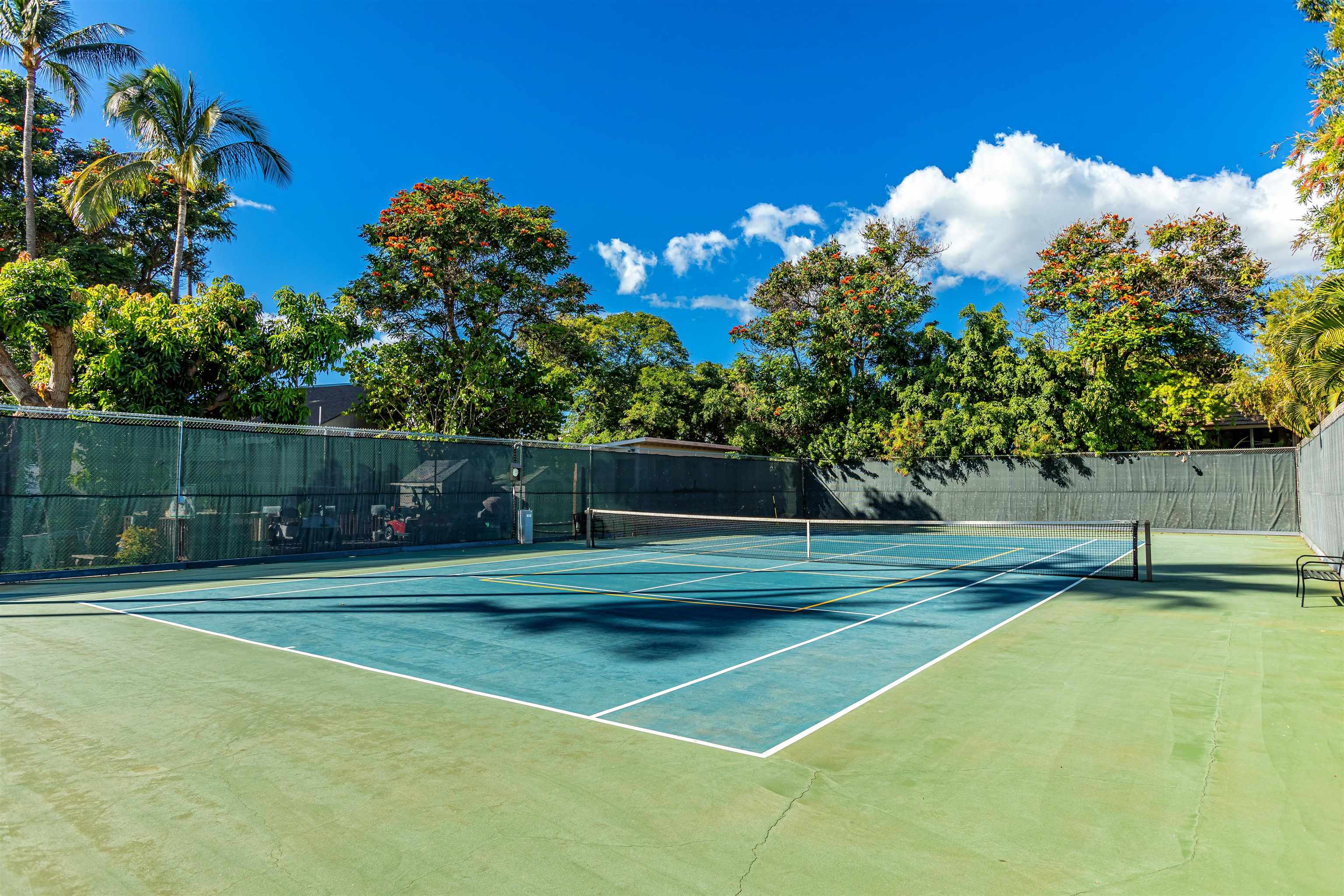 2531 South Kihei Road, Unit D512 Kihei, HI 96753 - Photo 23 of 23 tennis