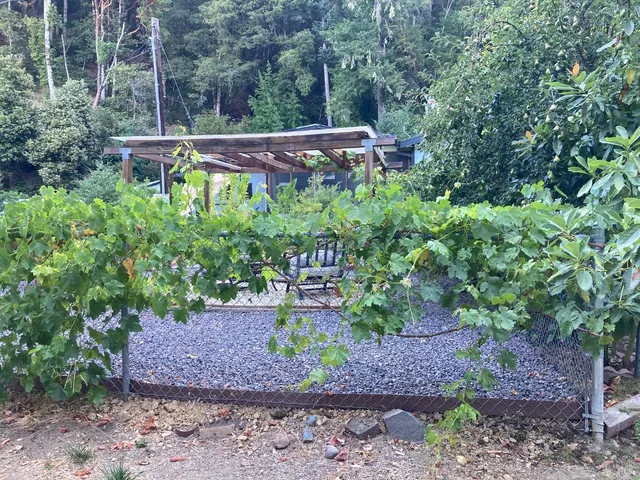 $415,000 | 65001 Drive Thru Tree Road, Leggett, CA 95585