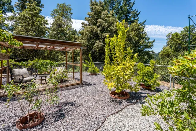 a view of a backyard with plants