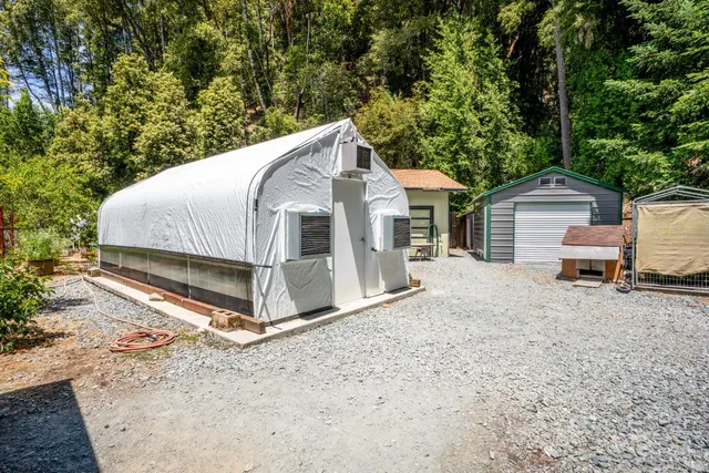 a white house covered with tall trees