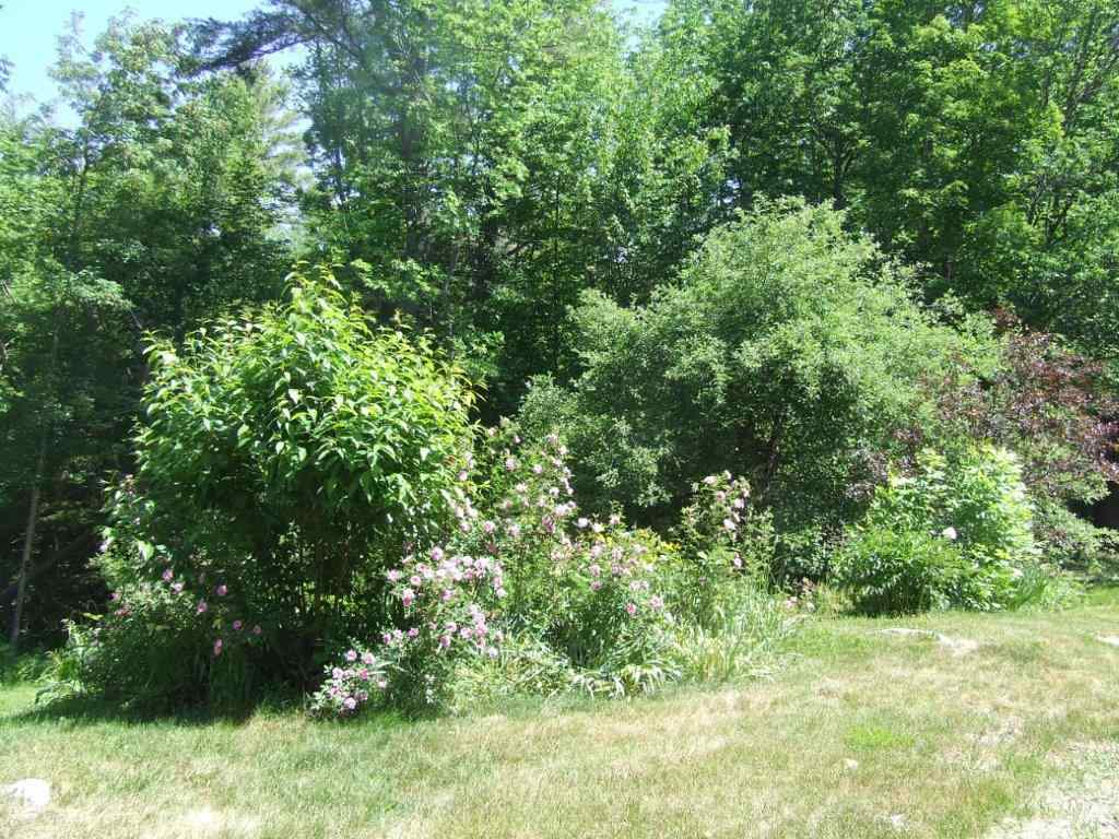 217 Brownfield Road Madison, NH 03849 - Photo 9 of 39