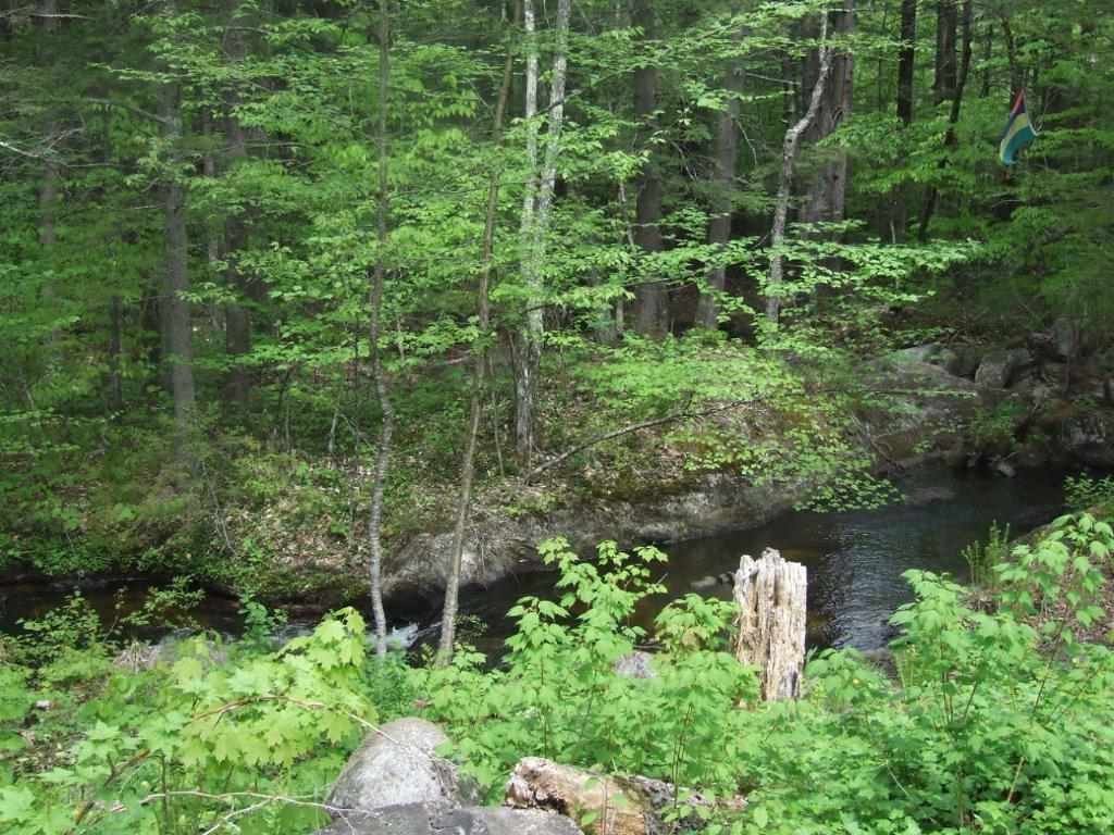 217 Brownfield Road Madison, NH 03849 - Photo 10 of 39
